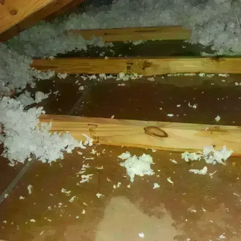 Attic Water Damage in Jones County, GA