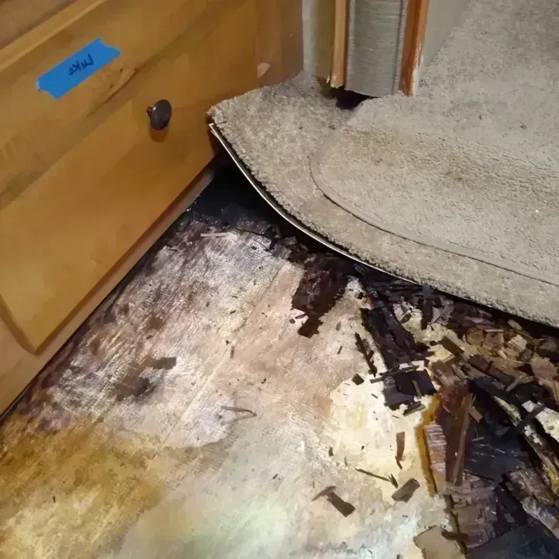 Best Wood Floor Water Damage Service in Jones County, GA